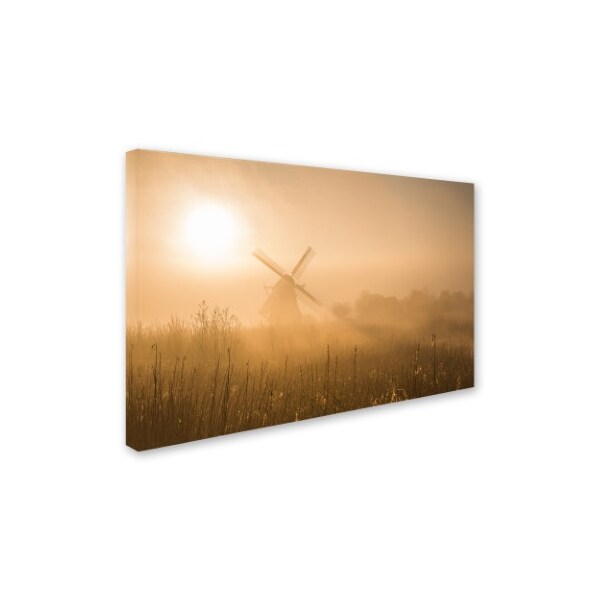 Ton Drijfhamer 'Golden Dawn' Canvas Art,30x47